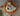 Close up of pale yellow lion shaped dog toy with long arms and legs, an orange mane and stitched detail eyes, brown nose. Pictured on a laminate floor. 