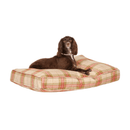 Brown Springer Spaniel lying on a pillow-type red and green checked dog bed pictured on a white background. 