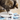 A tabby cat with white paws investigates a Nina Ottosson cloud-shaped puzzle feeder toy with a grey base, white circular centre piece, and translucent blue and white raindrop pieces, pictured on a light wood floor.