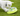 A small white dog on green grass interacting with a Nina Ottosson Wobble Bowl with a lime-green base, and translucent top with a blue centre.