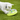 A small white dog on green grass interacting with a Nina Ottosson Wobble Bowl with a lime-green base, and translucent top with a blue centre.