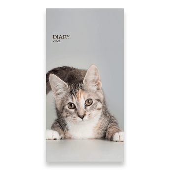 PDSA cat diary cover