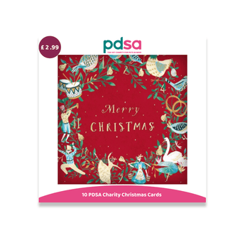 PDSA Charity Christmas Cards set featuring a festive red card with gold 'Merry Christmas' text and an illustrated border of swans, dancers, and holiday ornaments. The image shows the retail packaging with a purple price sticker of £2.