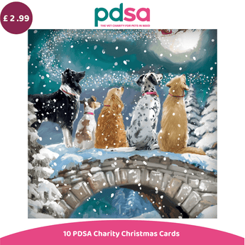 PDSA Charity Christmas Cards set featuring a festive illustration of five dogs on a snowy stone bridge under a full moon, with a purple price badge showing £2.99 and the PDSA logo at the top.