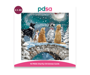 PDSA 10 PDSA Charity Christmas Cards set featuring a central illustrated card of five dogs on a snowy bridge under falling snow, with a pink PDSA logo and a purple price badge showing £2.99.