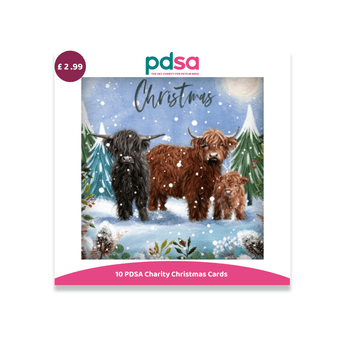 PDSA Christmas cards featuring an illustration of three Highland cows in a snowy winter landscape under a blue sky with falling snow. The image includes a purple price badge showing £2.