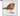 A PDSA charity Christmas card featuring a painted robin bird on a white background, with PDSA branding at the top and text at the bottom reading '10 PDSA Charity Christmas Cards'.