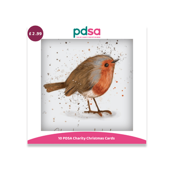 A PDSA charity Christmas card pack cover showing a watercolor robin bird illustration on a white background with a pink price badge reading £2.99 and the PDSA logo at the top.