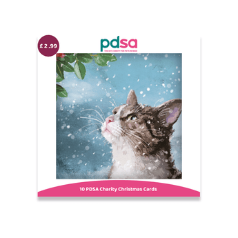PDSA Charity Christmas Cards pack featuring a printed card design with a brown and white cat looking up in the snow, a pink and teal PDSA logo at the top, a purple price sticker showing £2.99, and a pink banner at the bottom reading '10 PDSA Charity Christmas Cards'.