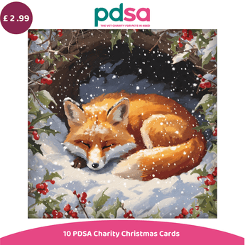 PDSA Charity Christmas Cards featuring a painted illustration of a sleeping red fox in the snow, surrounded by holly and berries. The image includes a purple price badge of £2.