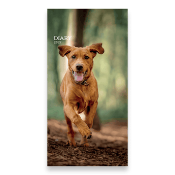 PDSA dog diary cover
