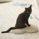 Black kitten sat on heart shaped corrugated cardboard scratcher with multicoloured star details around the outside, on a laminate floor. 