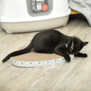 Black kitten with blue collar lying on heart shaped corrugated cardboard scratcher with multicoloured star details around the outside, on a laminate floor. 