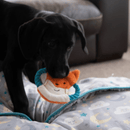 Black Labrador puppy with fox face dog toy made with soft orange fleece with a white fabric chin, smiley face stitch details; blue rope handles on each side in it's mouth stood on a dog bed with a brown sofa in the background. 