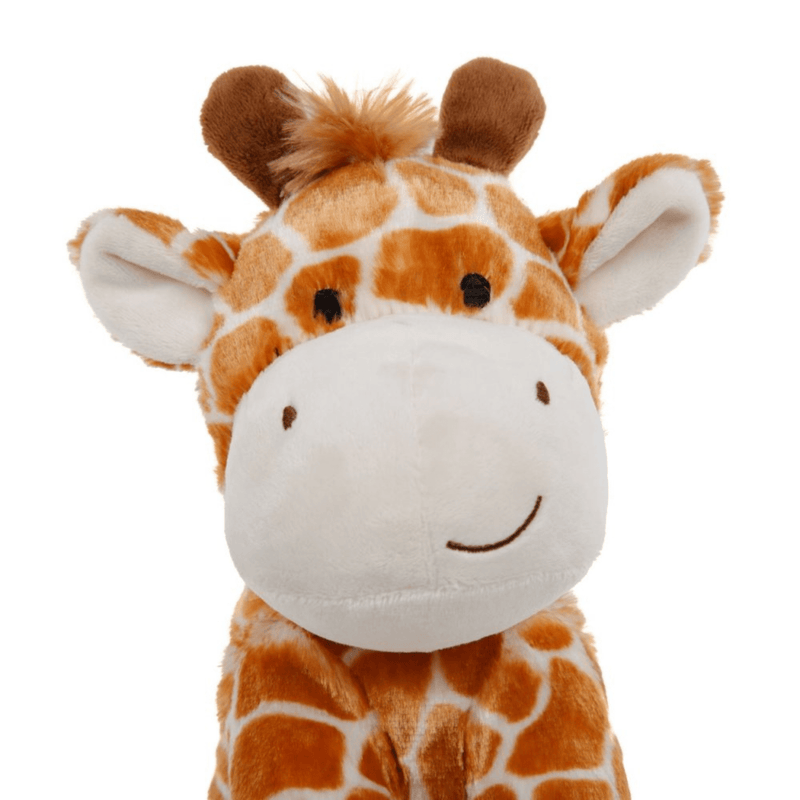 Petface Giraffe Close Up