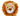 Petface Luis Lion Up Close
