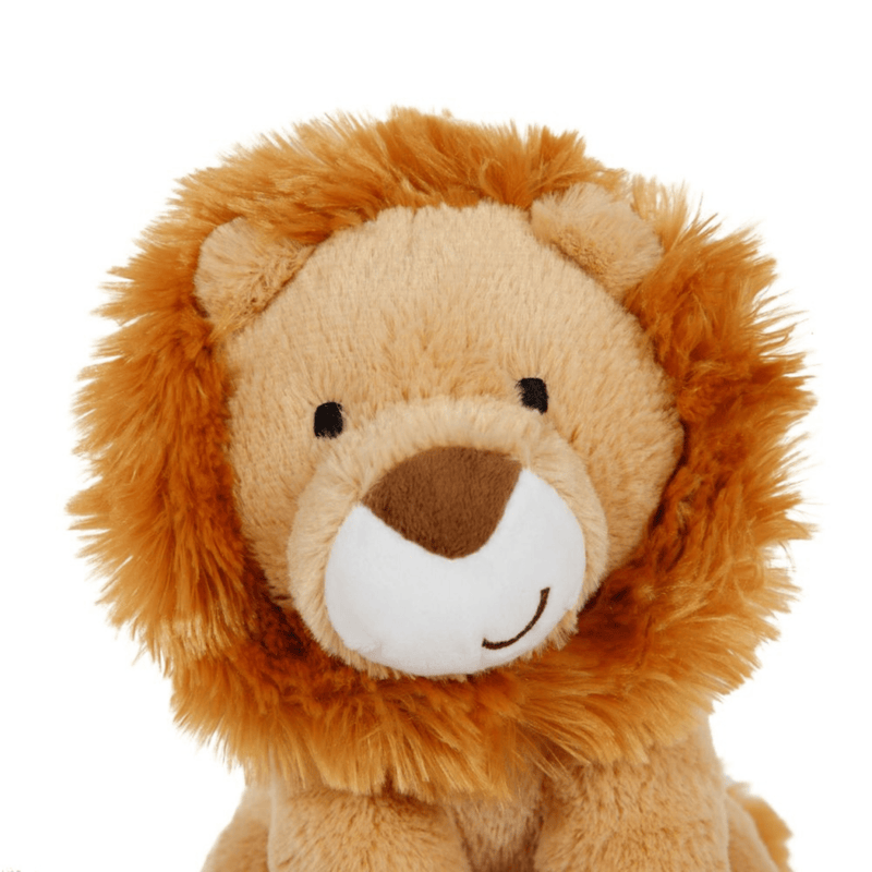 Petface Luis Lion Up Close