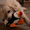 Golden Retriever dog with Plush Puffin dog toy with a red, orange and yellow beak and orange feet in it's mouth. 