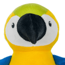 Close up of parrot with black beak dog toy