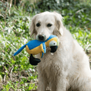 Dog holding parrot in mouth in woods