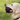 Golden Retriever dog with a purple Petface Rubber Treat Ball Dog Toy in it's mouth, with a grass background. 