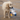 Golden Retriever dog with seagull dog toy with a white body, grey and blue wings and tail and orange beak in it's mouth standing on a beach. 