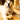Golden retriever indoor with fairy lights in the background with a plush dog toy roast turkey with a holly stitched on the top and stitched eyes and smile between it's paws. 
