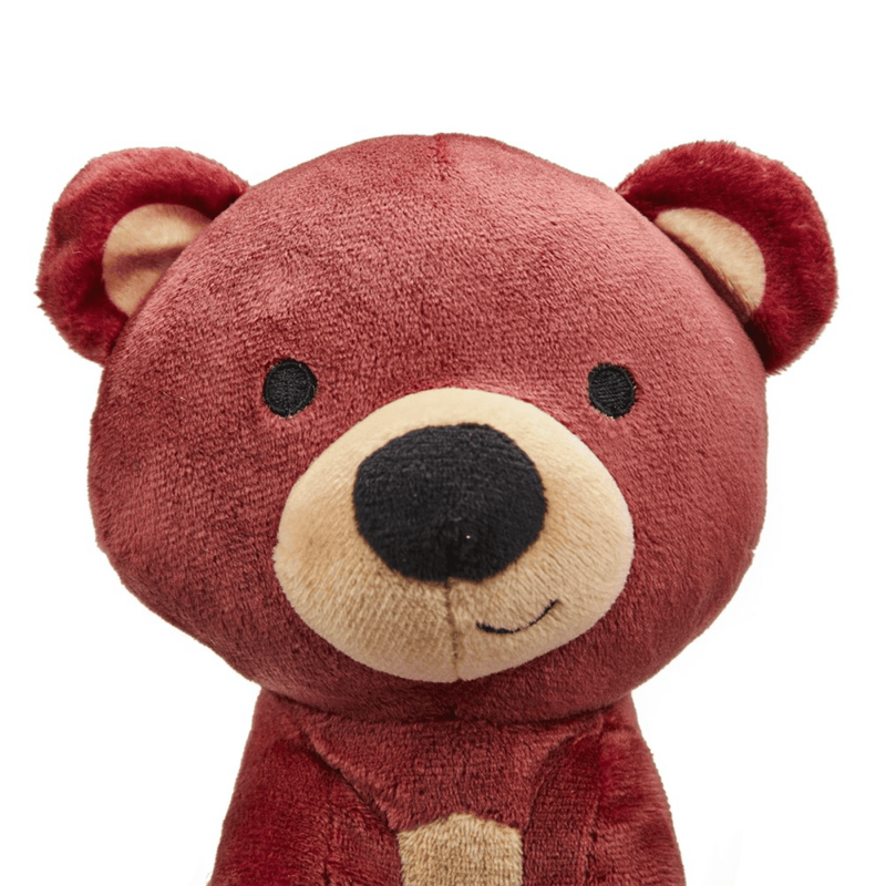 Close up of brown teddy bear dog toy with a cream muzzle and belly on a white background. 