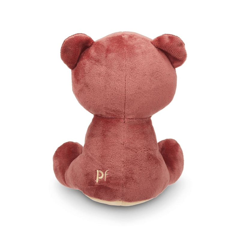 Back view of a brown teddy bear dog toy sat on a white background. 