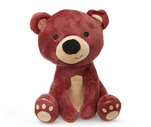 Brown teddy bear dog toy with a cream muzzle, belly and paws sat on a white background. 