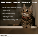 A picture of a brown tabby cat with white text 'Effectively cleans teeth and gums, effectively remove plaque and tartar, Breath freshening, Poultry flavour, Recommended by vets.' 