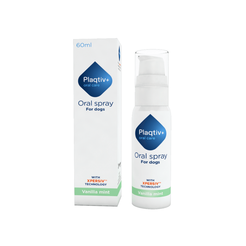 Plaqtiv oral spray for dogs with packaging on a white background