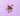 A small pile of brown paw-shaped pet treats scattered on a lavender purple tiled background.