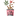 White background with a pink packet of Pooch & Mutt dog treats, with treats pouring out, with a hemp leaf and chunks of turkey. The text on the packet states 'Turkey & Hemp, Calming, Grain-free, Junk-free, Probiotic Meaty Treats.'