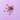 Small brown square-shaped dog treats scattered on a light purple tiled background.