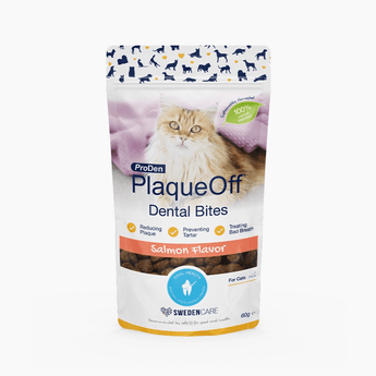 White background with a packet of ProDen PlaqueOff Dental Bites Salmon flavour for Cats. Pictured on the packet is a long haired tabby cat. 