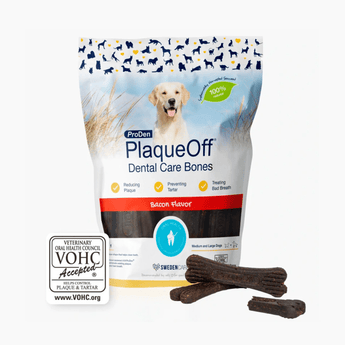 White background with a packet of ProDen PlaqueOff Dental Care Bones - Bacon flavour for Medium and Large Dogs. Pictured on the packet is a Labrador dog.