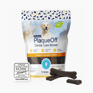 White background with a packet of ProDen PlaqueOff Dental Care Bones - Chicken & Pumpkin flavour for Medium and Large Dogs. Pictured on the packet is a Labrador dog.