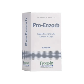 White background with a white box of Protexin Pro-Enzorb for dogs. Text on the box says 'Supporting Pancreatic function in Dogs. 60 capsules.' 