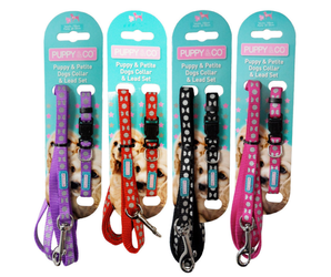 White background with four collar and lead sets backed on turquoise cardboard with text 'Puppy & Co, Puppy & Petite Dogs Collar & Lead Set' The sets are in purple, red, black and pink. 