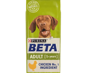 White background with a green bag of Purina Beta Adult Dog Food. Pictured on the bag is a Vizsla dog, text on the bag reads 'Purina Beta, Adult (1+ years) Chicken No.1 Ingredient.' 