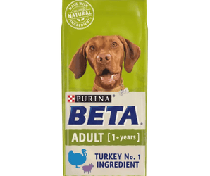 White background with a green bag of Purina Beta Adult Dog Food. Pictured on the bag is a Vizsla dog, text on the bag reads 'Purina Beta, Adult (1+ years) Turkey No.1 Ingredient.' 