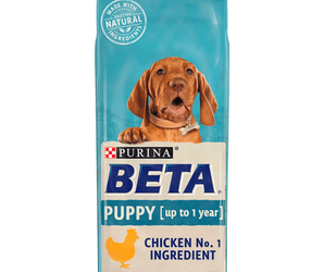 White background with a blue bag of Purina Beta Puppy Food. Pictured on the bag is a Vizsla puppy text on the bag reads 'Purina Beta, Puppy (up to 1 year) Chicken No.1 Ingredient.' 