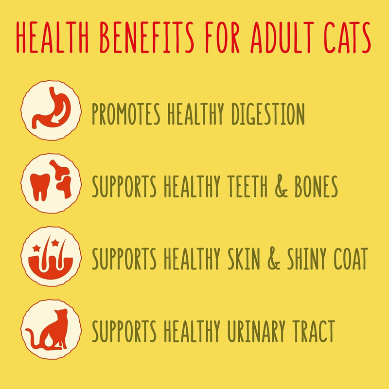 Health benefits for adult cats on a yellow background with icons and text.