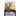 Purina Pro Plan Healthy Start Kitten Food front on white background