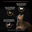 Purina Pro Plan Light Adult Dry Turkey Cat Food info graphic