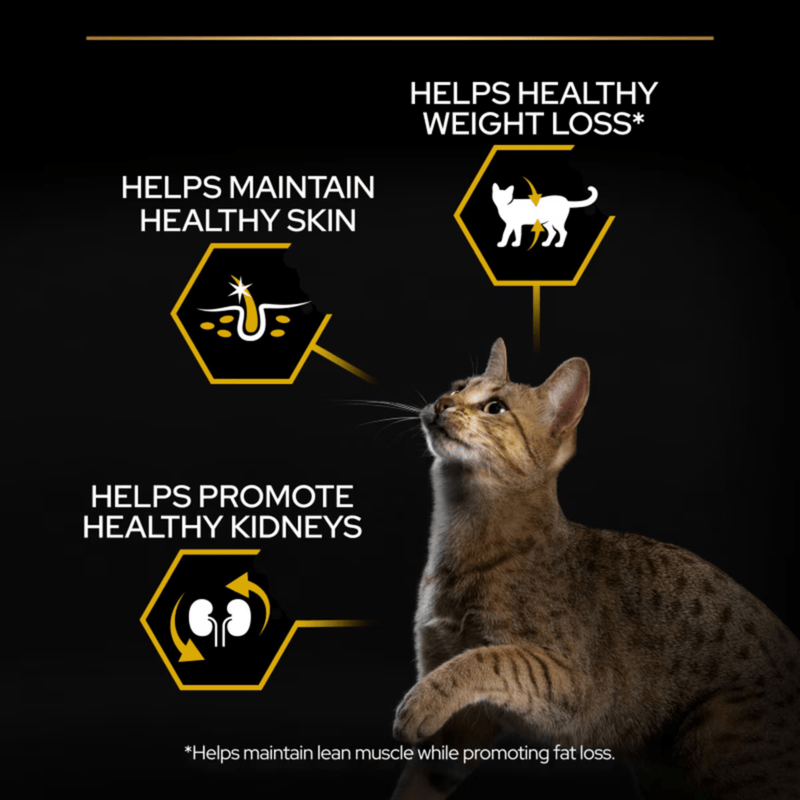 Purina Pro Plan Light Adult Dry Turkey Cat Food info graphic