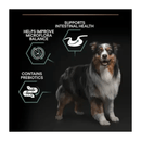 Black background with a tricoloured collie dog pictured. Next to the dog is text 'Support intestinal health, Helps balance Microflora balance, Contains Prebiotics'. 