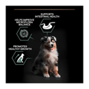 Black background with a tricoloured collie puppy pictured. Next to the Puppy is text 'Supports intestinal health, Helps improve Microflora, Promotes healthy growth'. 