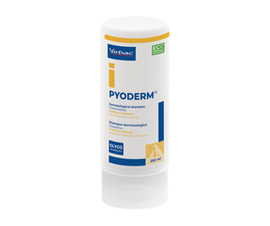Pyoderm shampoo bottle by Virbac on a white background